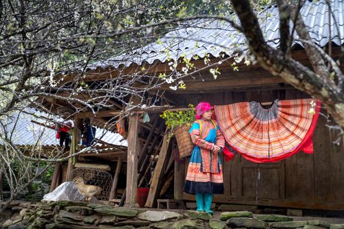 Free Asian woman in colorful traditional clothing standing on a rustic porch surrounded by nature. Stock Photo