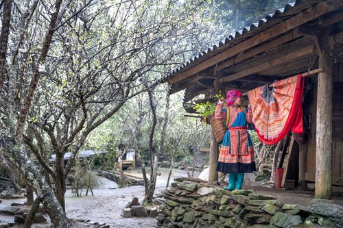 Free Woman in traditional attire stands by a wooden house in a rural forest setting, holding a basket. Stock Photo