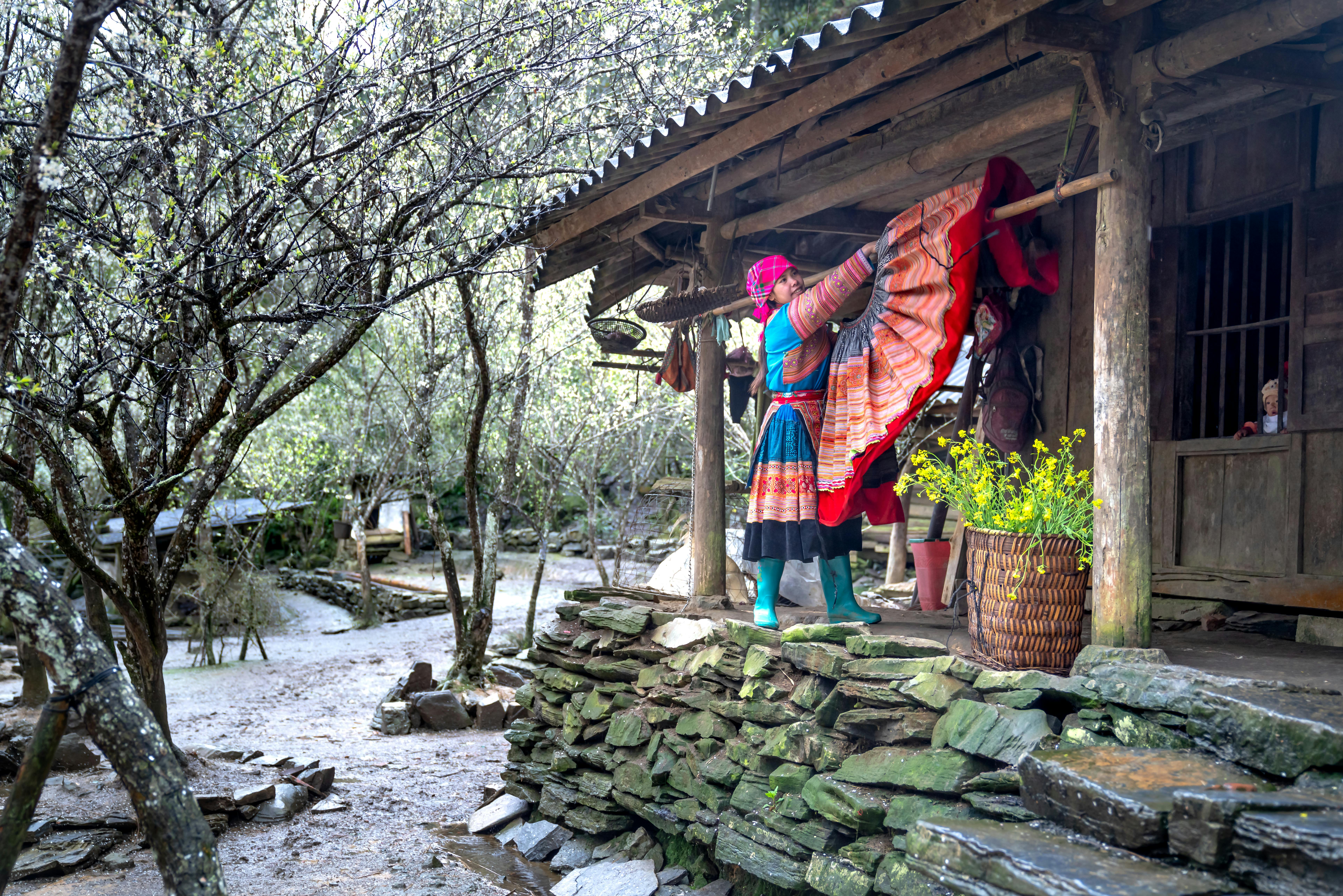 A woman in traditional ethnic attire hangs colorful clothes outdoors by a rural house.