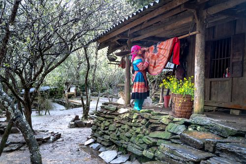 Free A woman in traditional dress hangs laundry in a rustic rural setting with lush green surroundings. Stock Photo