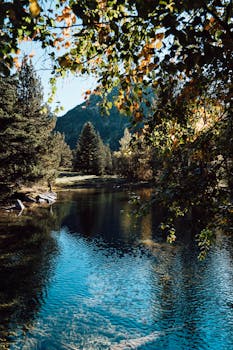 A tranquil forest river reflecting autumn foliage under a clear sky.