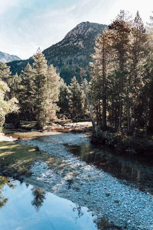 Free Aerial Photography of a Scenic Lake Stock Photo