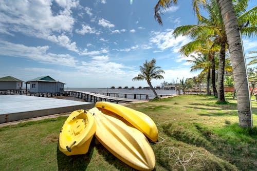 Kayaks by the Seaside