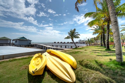 Free Vibrant seaside scene featuring yellow kayaks on a tropical beach with palm trees. Stock Photo