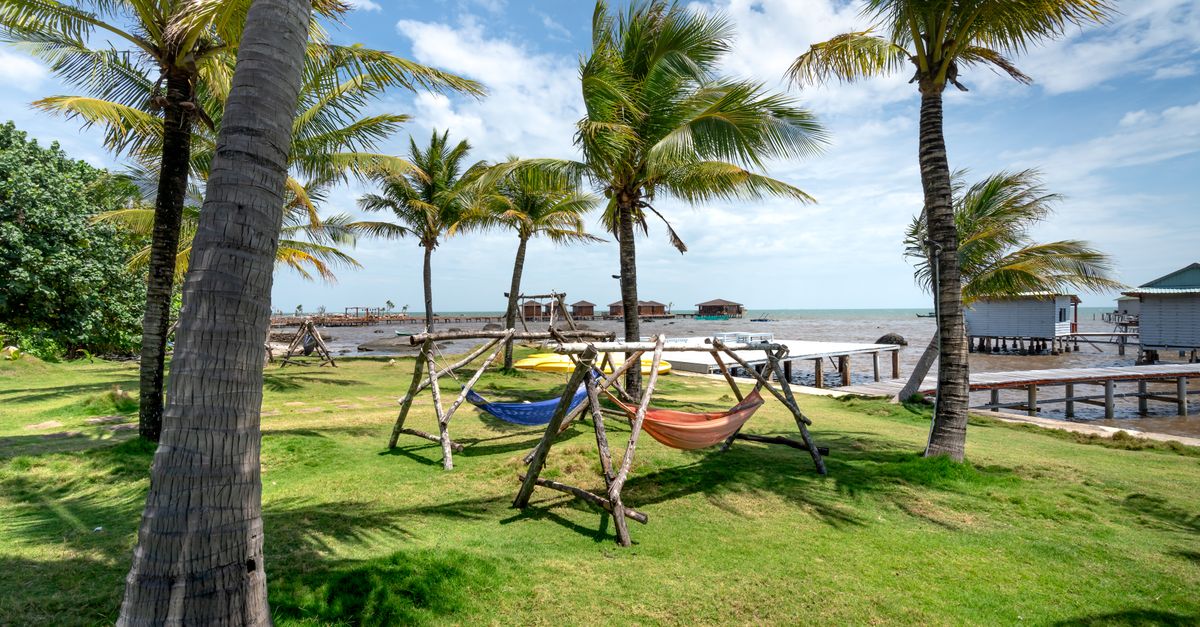 Relaxing tropical beach scene with hammocks under palm trees by the seaside.
