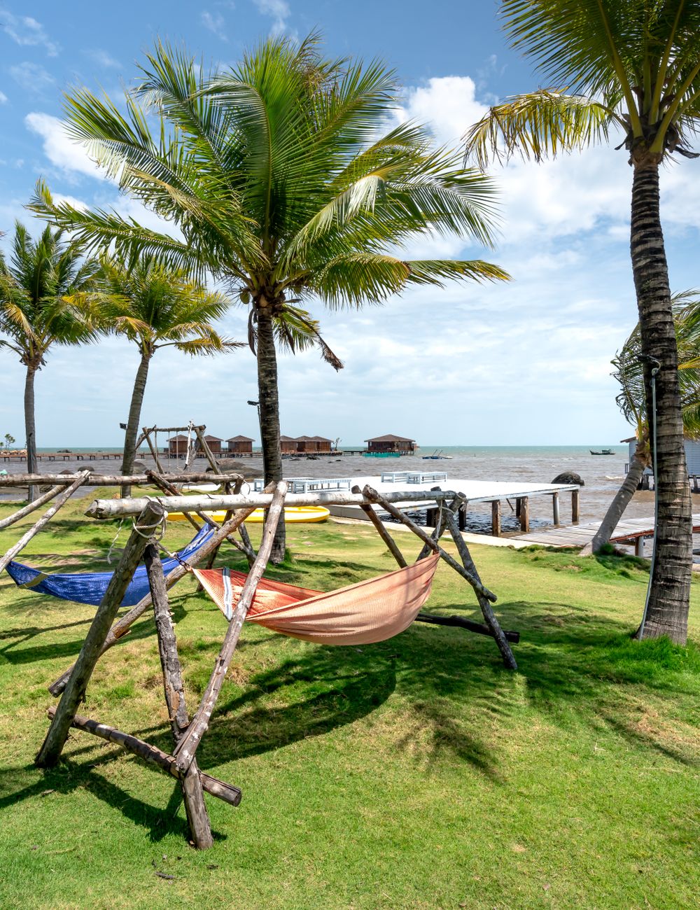 Hammocks strung between palm trees near the shore.