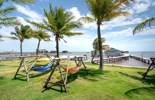 Free Scenic view of hammocks under palm trees by the seaside with a rustic pier over calm waters. Stock Photo