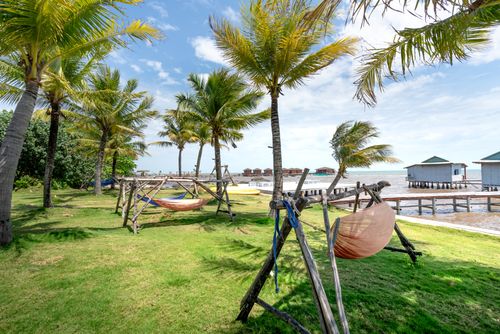 Free Serene beach scene with hammocks and palm trees, perfect for relaxation by the seaside. Stock Photo