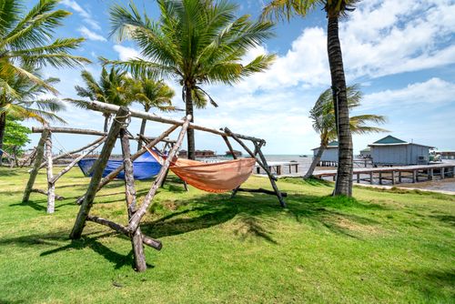 Free Relaxing hammocks on a tropical beach with palm trees, wooden structures, and clear skies. Stock Photo