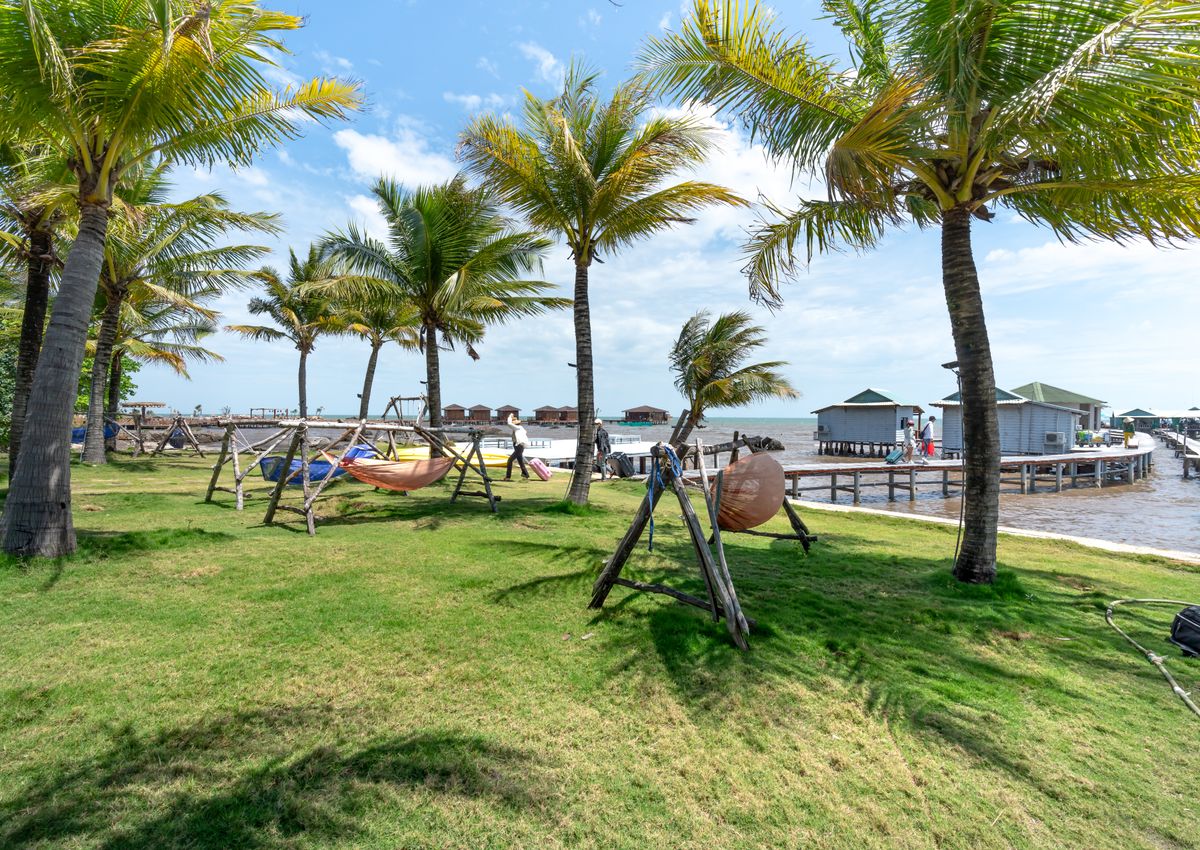 A wooden boardwalk leading over calm water beside palms.