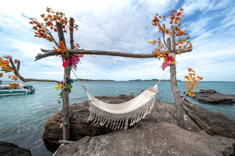 Hammock Between Tree Trunks By Sea Shore