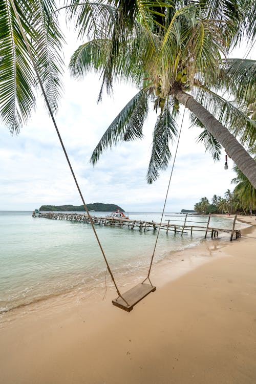 A Swing at a Beachfront