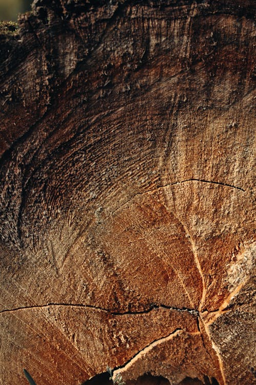 Bezpłatne Darmowe zdjęcie z galerii z chropowaty, deska, drewniana powierzchnia Zdjęcie z galerii