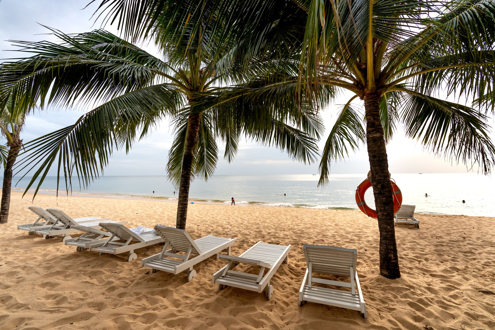 Serene tropical beach scene with palm trees, sun loungers, and a calm ocean view.