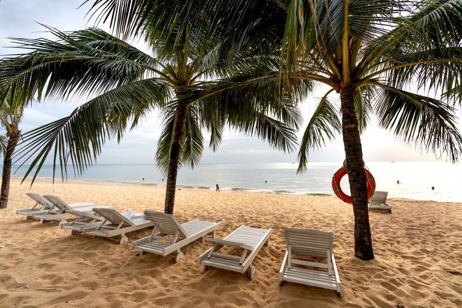 Serene tropical beach scene with palm trees, sun loungers, and a calm ocean view.