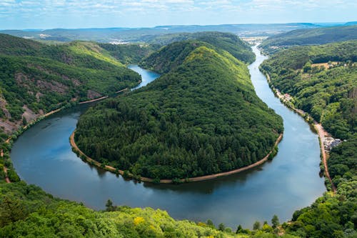 Fotos de stock gratuitas de agua, bosque, curva del río