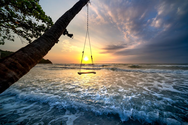 Swing Hanging On A Coconut Tree