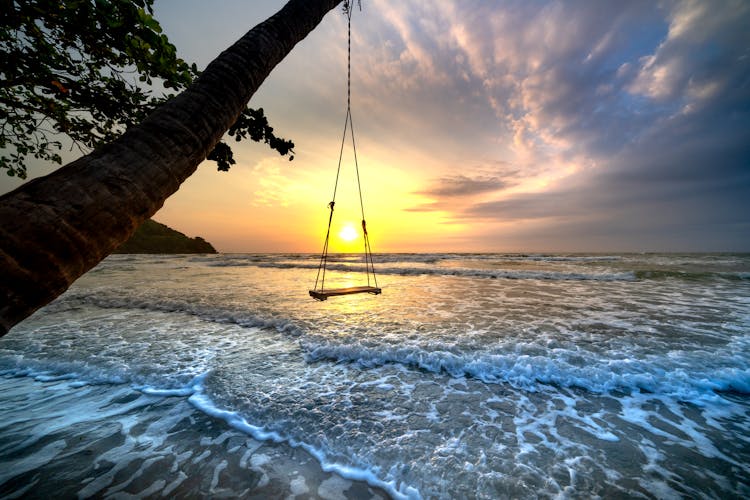 Photo Of Wooden Swing On Seashore