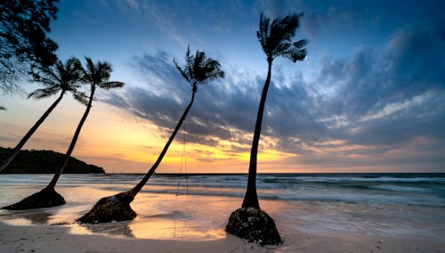 Foto profissional grátis de areia, cair da noite, cênico