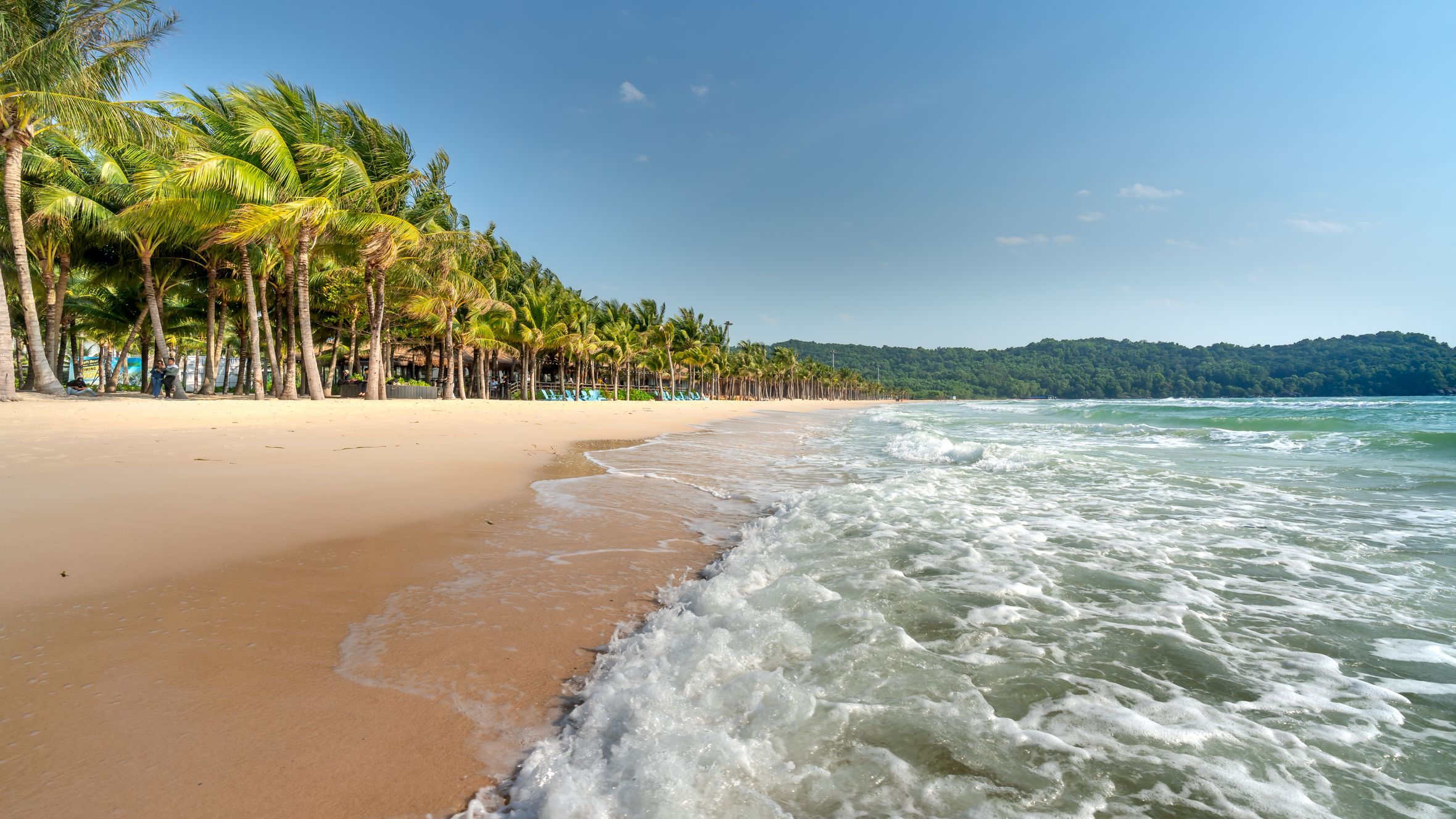 Lush tropical beach with palm trees and gentle ocean waves under a bright sky.