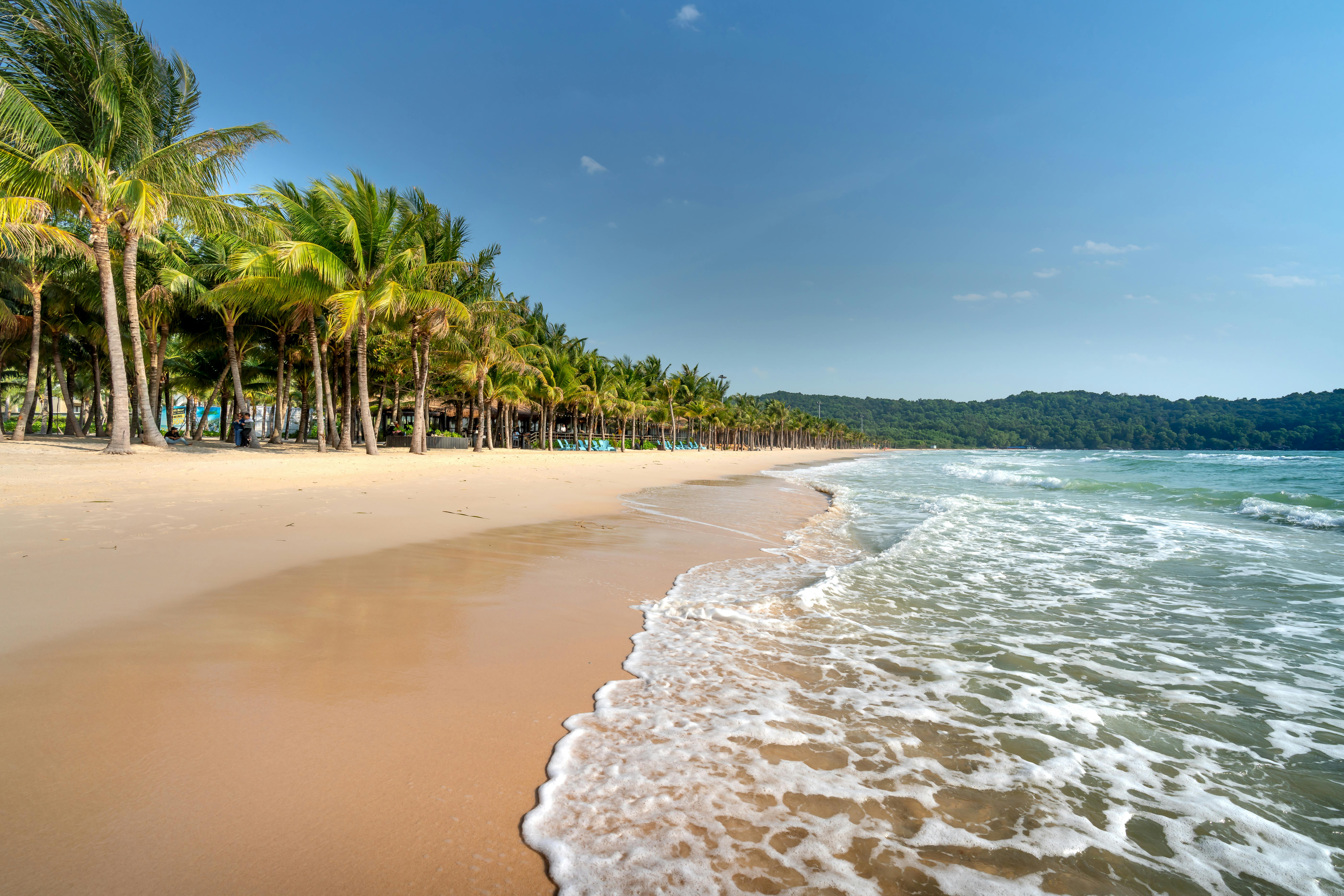 Serene shoreline with coconut trees under a clear blue sky, perfect for a tropical getaway.