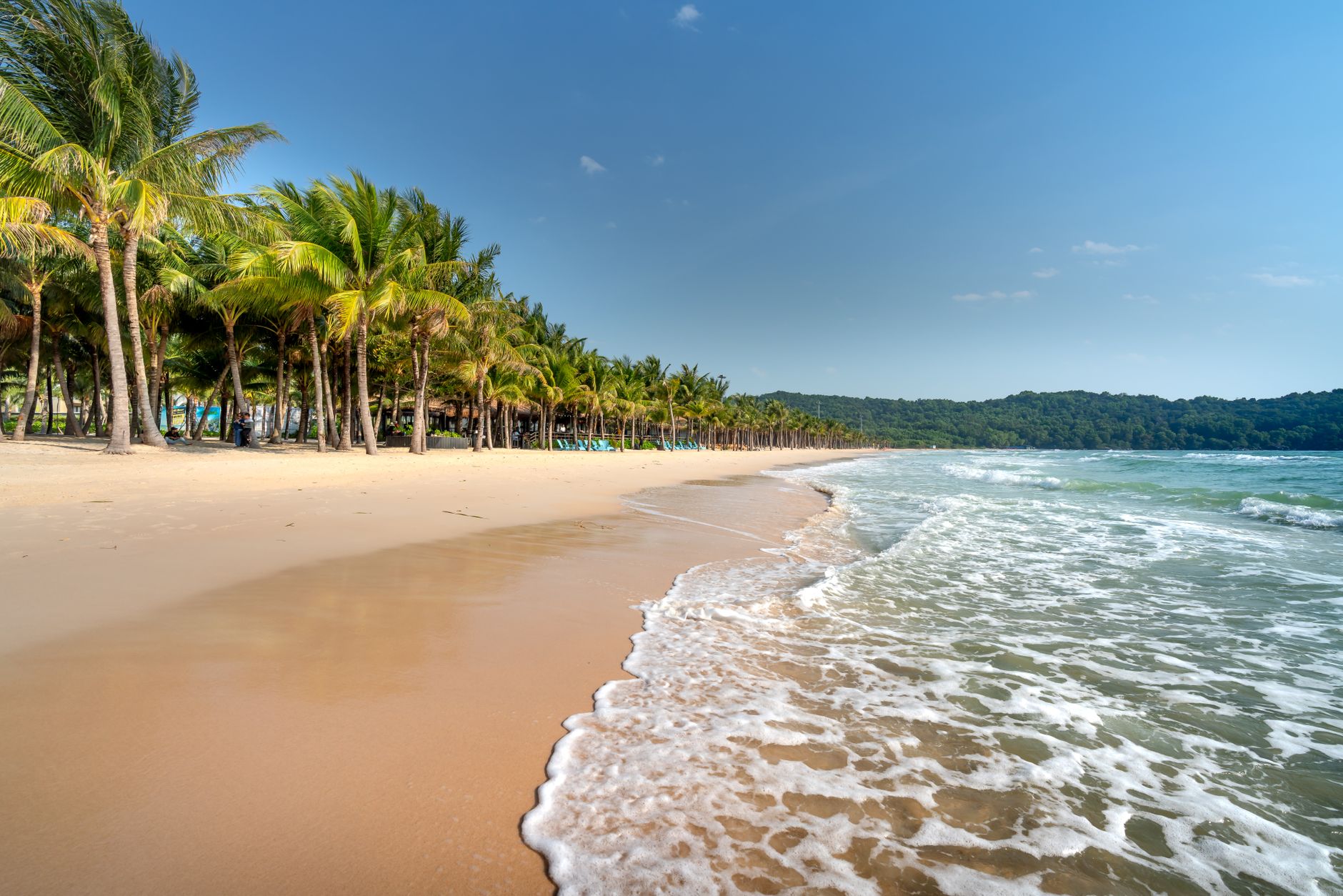 Serene shoreline with coconut trees under a clear blue sky, perfect for a tropical getaway.
