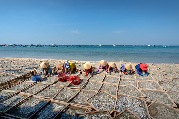 People Working On A Beach Farm