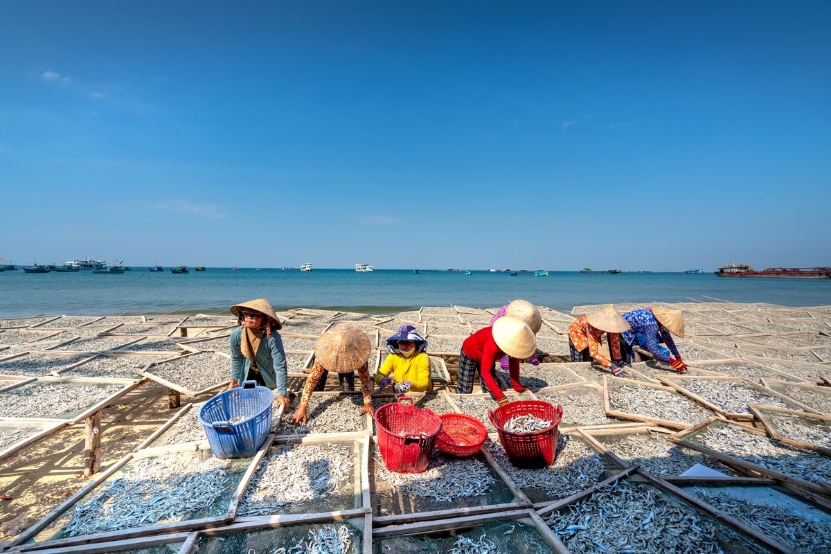 Workers gathering salt on the pans under a wide sky
