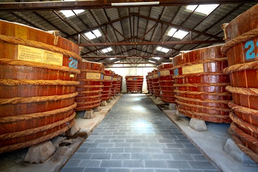 View of massive wooden barrels arranged in a distillery's interior storage space.