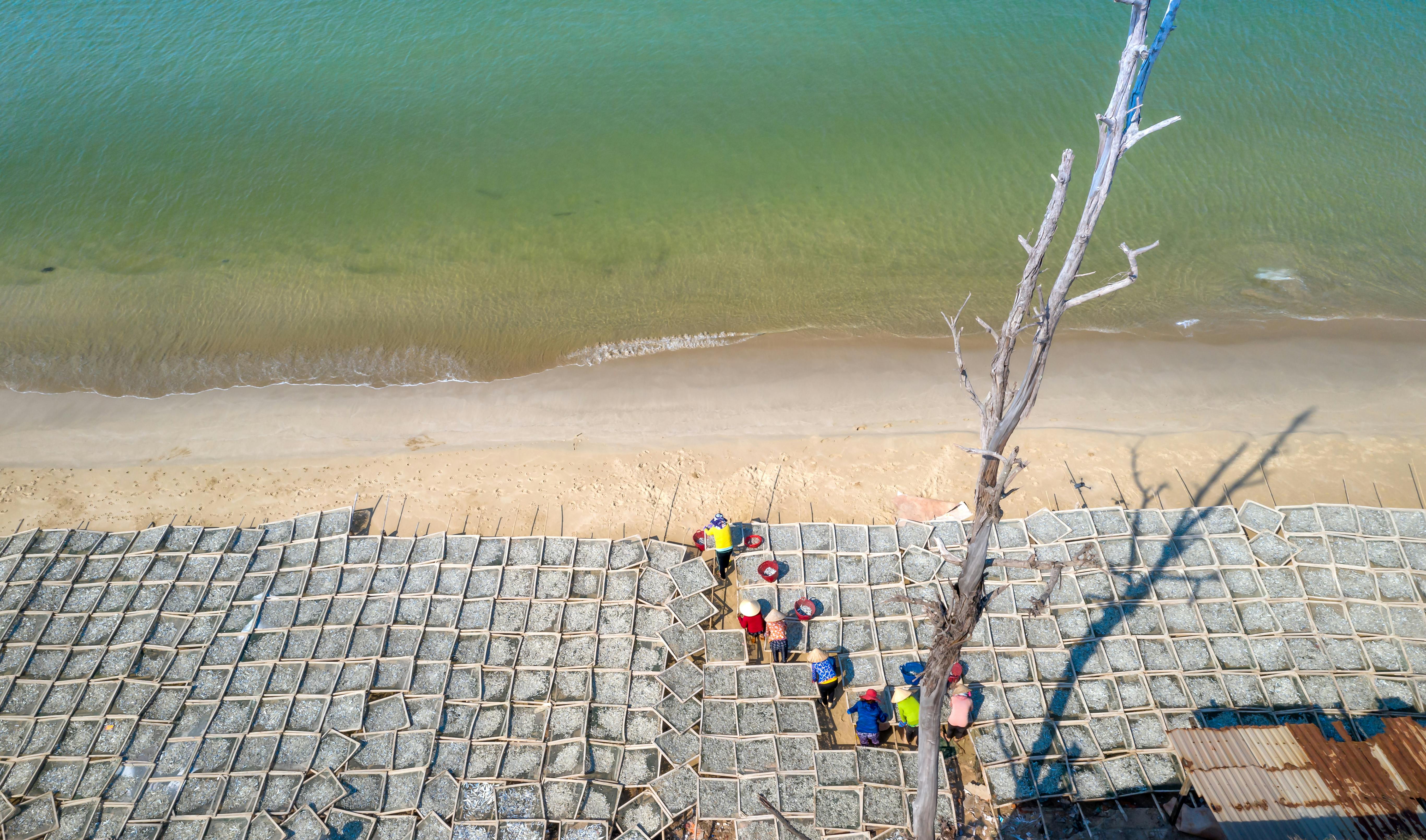 Salariul mediu net din outsourcing, industrie în care lucrează circa 300.000 de oameni, e de circa 7.600 lei