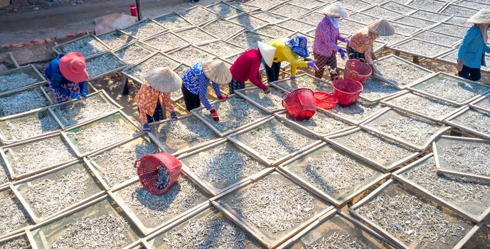 Workers sorting fish on drying racks in sunny outdoor setting.
