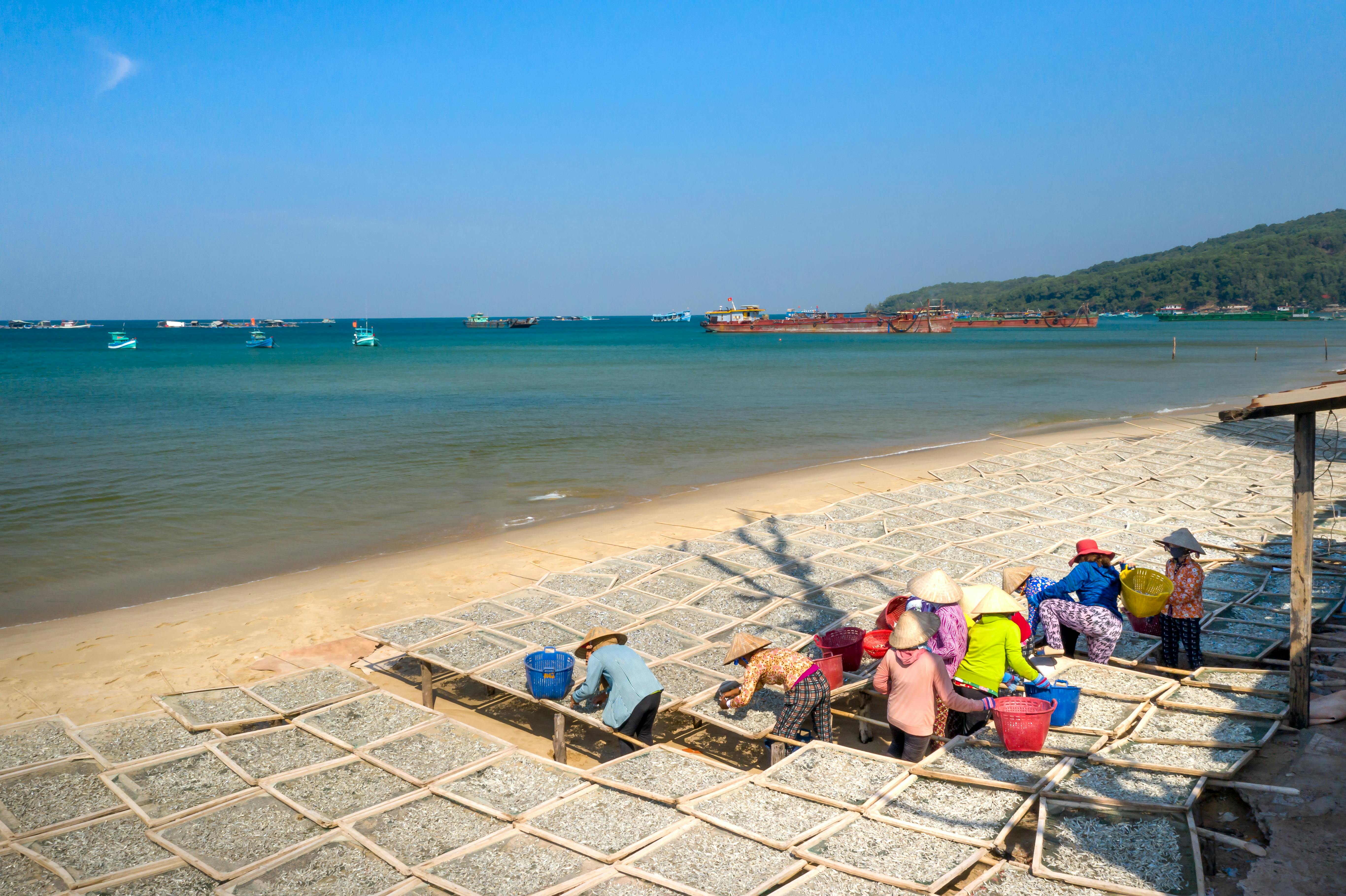 Workers drying seafood on a beach near ships under a clear blue sky.