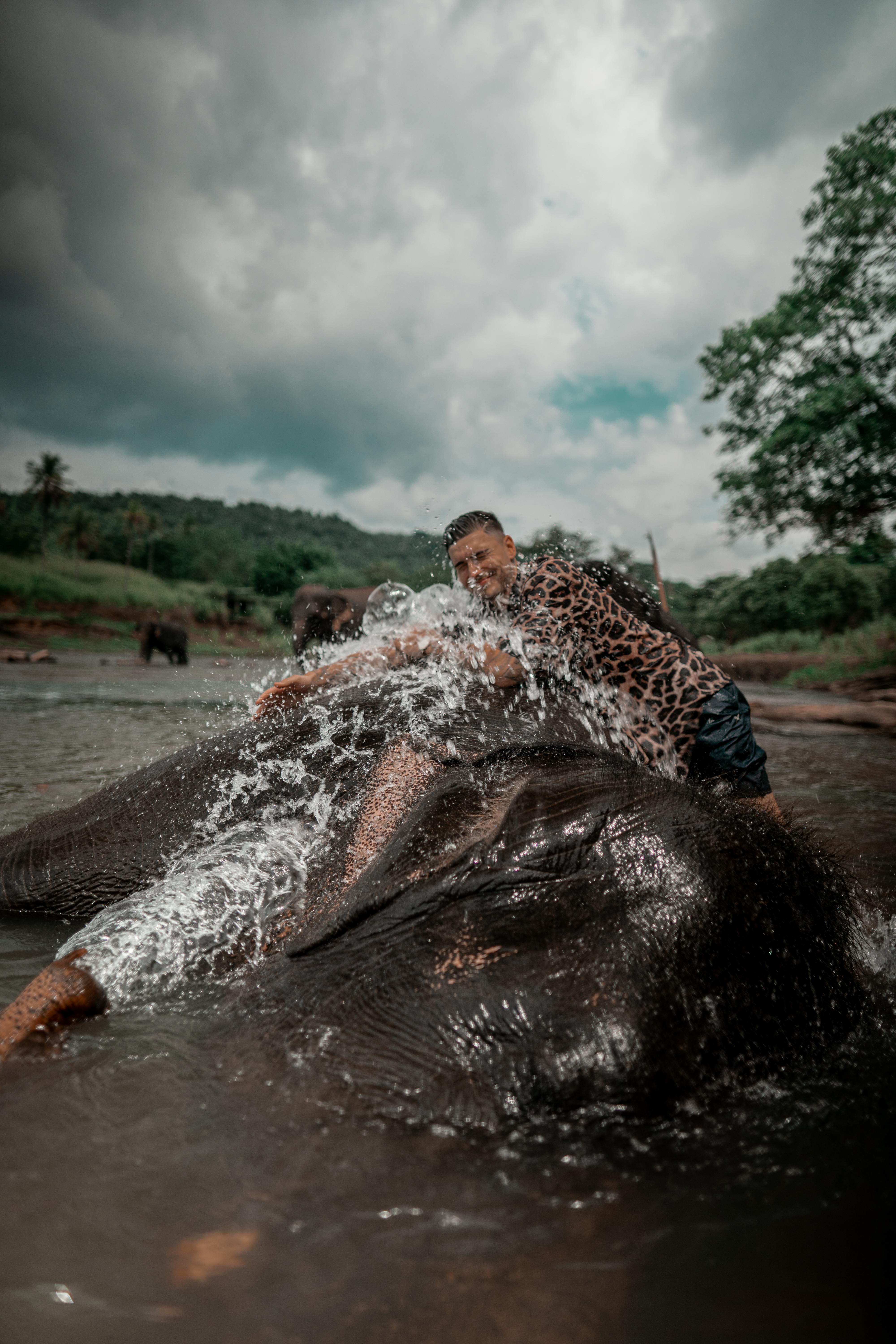 Sri Lanka — paysage de voyage Amanéa