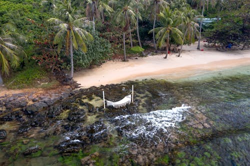 A Beach with Sand and Palm Trees