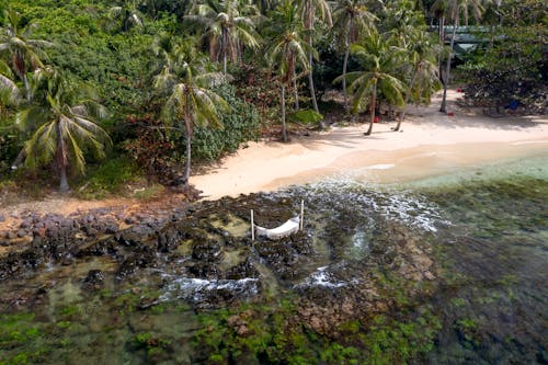 Foto profissional grátis de água, beira-mar, ilha