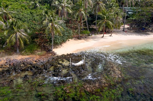 Бесплатное стоковое фото с вода, море, морской берег