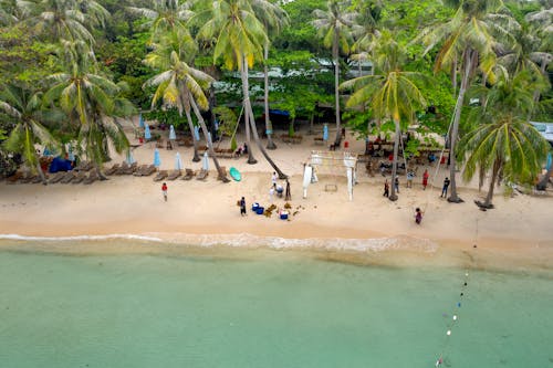 Photograph of People on a Beach with Palm Trees