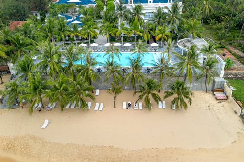 Drone Shot of Palm Trees Near a Swimming Pool