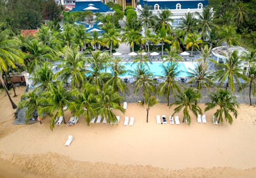 岸邊, 度假村, 棕櫚樹 的 免费素材图片