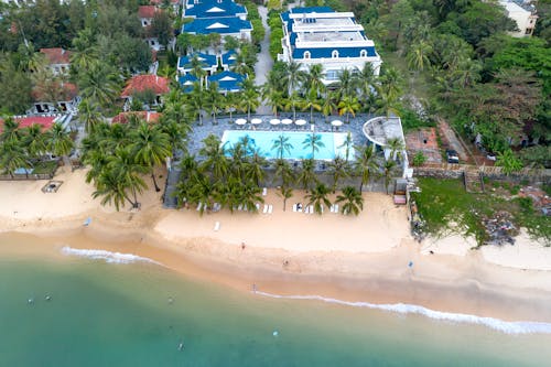 Swimming Pool among Palm Trees at Sandy Beach along Ocean