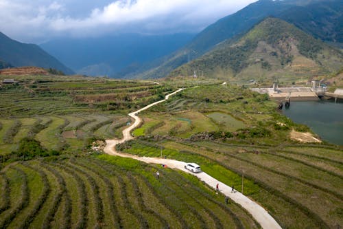 Fotos de stock gratuitas de agricultura, campos de cultivo, cerros