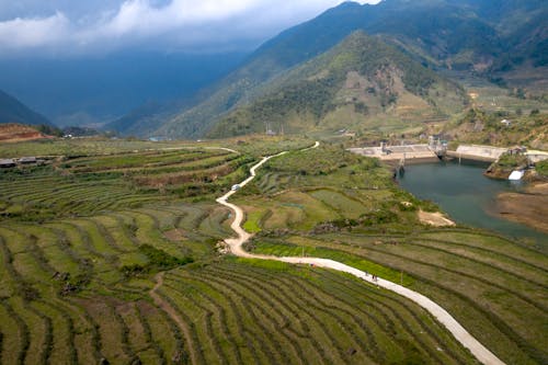 Aerial Photography of a Beautiful Paddy Field