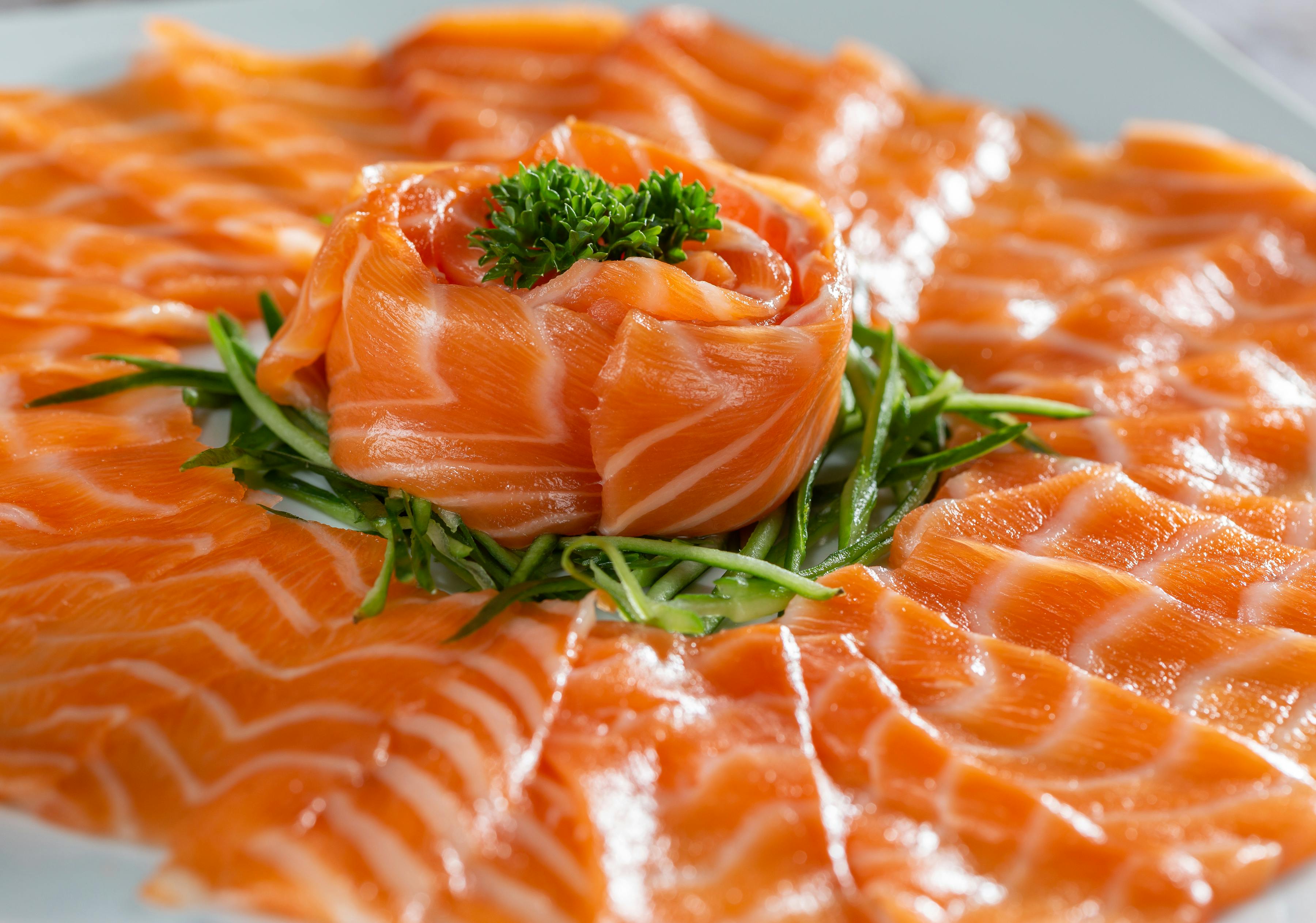 Salmon