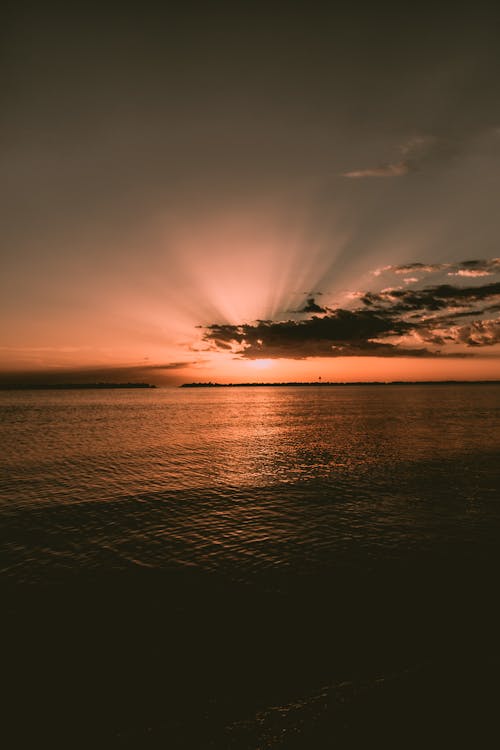 Základová fotografie zdarma na téma červánky, horizont, idylický