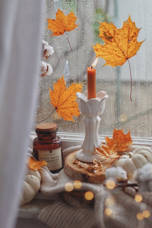 akçaağaç yaprakları, aromaterapi, cam pencere içeren Ücretsiz stok fotoğraf