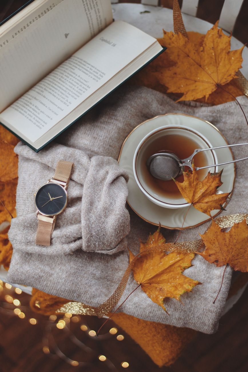 Warm fall scene featuring tea, an open book, and autumn leaves for a cozy vibe.