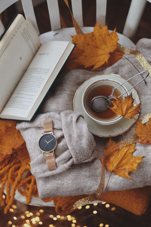 Free A cozy autumn arrangement with tea, a book, and a wristwatch on a blanket. Stock Photo