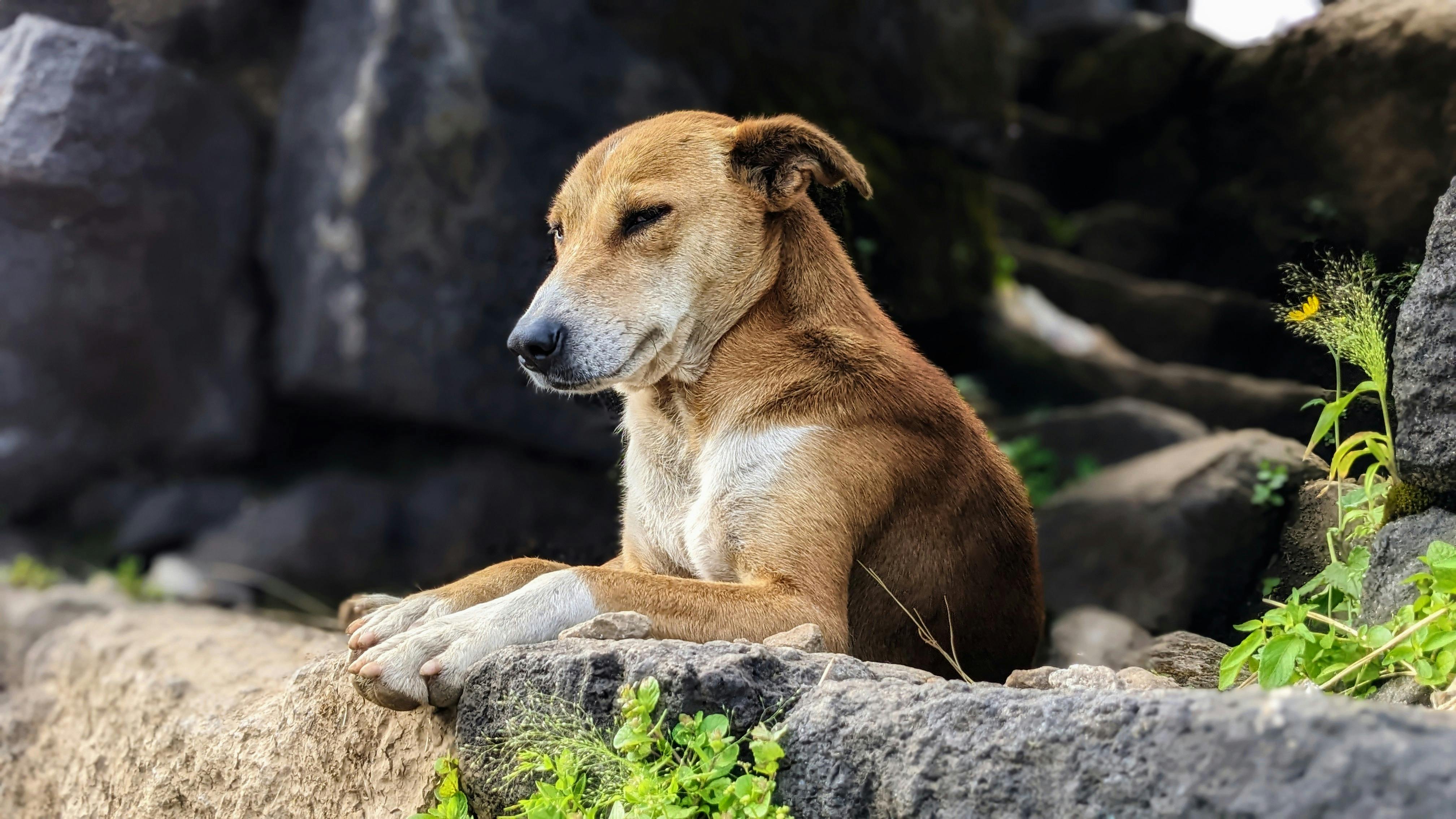 5 Steps To Unleashing Your Inner Greatness