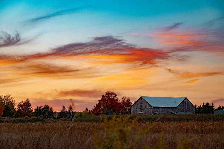 Barn In Countryside