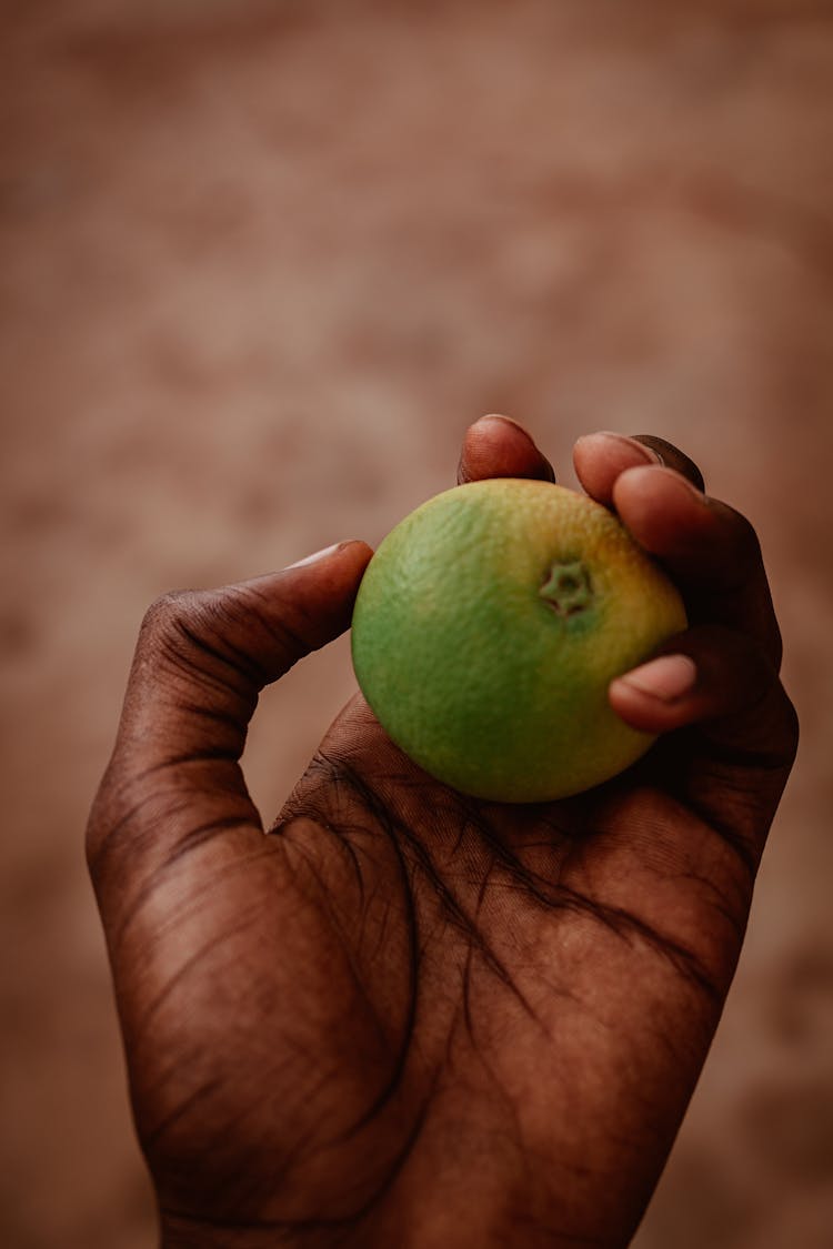 Hand Holding Lime